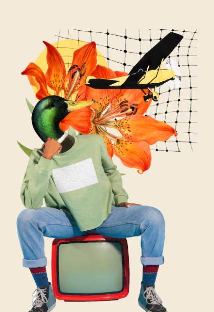 Design Consulting and Advisory Services